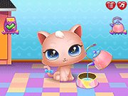 Cute Kitty Care Game Online