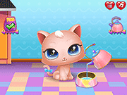 Cute Kitty Care 🕹️ Jogue Cute Kitty Care no Jogos123