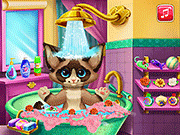 Kitten Bath Game Online