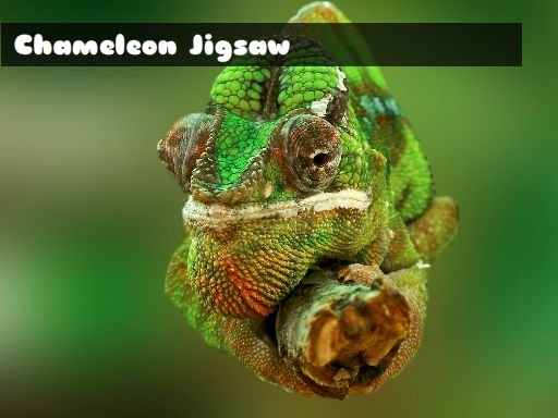 Chameleon Jigsaw Game Image Chameleon Jigsaw Game