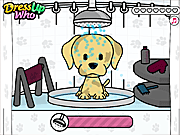 Pet Salon Doggy Days Game Online