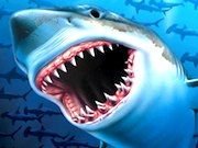 Shark Web Games Category Image Shark Web Games at AnimalPetGames.com