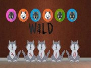 Play Wolf Pup Escape 2 Wolf Pup Escape 2 Game Online